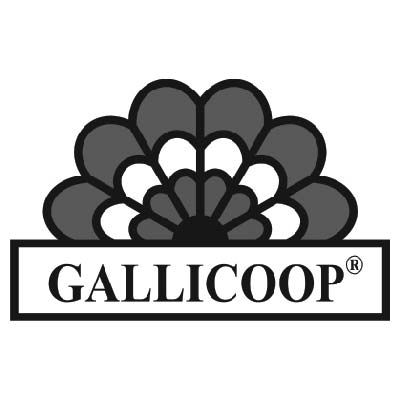 Gallicoop pulykahús; szárnyas; élelmiszer